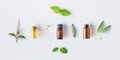 Bottle of essential oil with fresh herbal sage, rosemary, oregano, thyme, lemon balm spearmint and peppermint setup with flat lay Royalty Free Stock Photo