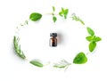 Bottle of essential oil with fresh herbal sage, rosemary, oregano, thyme, lemon balm, spearmint and peppermint setup with flat la Royalty Free Stock Photo