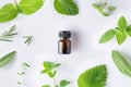 Bottle of essential oil with fresh herbal sage, rosemary, oregano, thyme, lemon balm spearmint and peppermint setup with flat lay Royalty Free Stock Photo