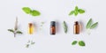 Bottle of essential oil with fresh herbal sage, rosemary, oregano, thyme, lemon balm spearmint and peppermint setup with flat lay Royalty Free Stock Photo