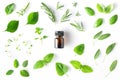 Bottle of essential oil with fresh herbs and spices basil, sage, rosemary, oregano, thyme, lemon balm and peppermint setup with Royalty Free Stock Photo