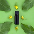 Bottle of essential oil with fresh herbs and yellow flowers around on a green background Royalty Free Stock Photo