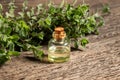 A bottle of essential oil with fresh marjoram plant