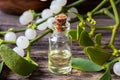 A bottle of essential oil with fresh mistletoe