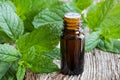 A bottle of peppermint essential oil with fresh peppermint leave