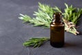 A bottle of essential oil with fresh rosemary twigs Royalty Free Stock Photo