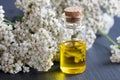 A bottle of essential oil with fresh yarrow flowers Royalty Free Stock Photo