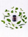 Bottle of essential oil with herb holy basil leaf, rosemary,oregano, sage,basil and mint on white background. Royalty Free Stock Photo