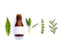 Bottle of essential oil with herb holy basil leaf, rosemary,oreg Royalty Free Stock Photo