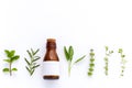 Bottle of essential oil with herb holy basil leaf, rosemary,oregano, sage,basil and mint on white background. Royalty Free Stock Photo