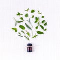 Bottle of essential oil with herb holy basil leaf, Royalty Free Stock Photo