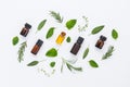 Bottle of essential oil and herbal medicine with fresh herbs lav Royalty Free Stock Photo