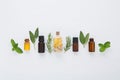 Bottle of essential oil and herbal medicine with fresh herbs sag Royalty Free Stock Photo
