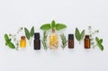 Bottle of essential oil and herbal medicine with fresh herbs sag Royalty Free Stock Photo