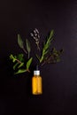 Bottle with essential oil and herbs around, flat lay top view. Selection of herbs on a black background