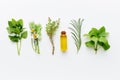 Bottle of essential oil with herbs arranged on white background Royalty Free Stock Photo