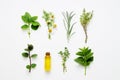 Bottle of essential oil with herbs arranged on white background Royalty Free Stock Photo