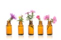 Bottle of essential oil with herbs. Royalty Free Stock Photo