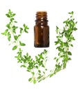 Bottle of essential oil with herbs thyme isolated on white background Royalty Free Stock Photo