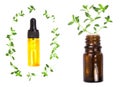 Bottle of essential oil with herbs thyme isolated on white background Royalty Free Stock Photo