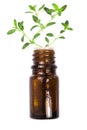 Bottle of essential oil with herbs thyme isolated on white background Royalty Free Stock Photo