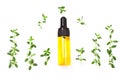 Bottle of essential oil with herbs thyme on white background Royalty Free Stock Photo