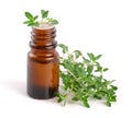 Bottle of essential oil with herbs thyme on white background Royalty Free Stock Photo