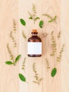 Bottle of essential oil with holy basil leaf and flower . Royalty Free Stock Photo