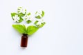 Bottle of essential oil with jasmine flower and leaves on white