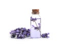 Bottle of essential oil and lavender flowers on background Royalty Free Stock Photo