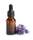 Bottle of essential oil and lavender flowers on background Royalty Free Stock Photo