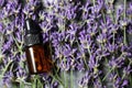 Bottle of essential oil on lavender flowers Royalty Free Stock Photo