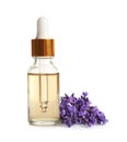 Bottle of essential oil and lavender flowers on background Royalty Free Stock Photo