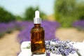 Bottle of essential oil and lavender flowers on white wooden table in field, closeup Royalty Free Stock Photo