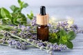 Bottle of essential oil, lavender and mint on grey wooden table Royalty Free Stock Photo