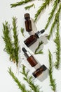 A bottle with essential oil and rosemary on a white background. A bottle of essential oil with fresh rosemary sprigs. Royalty Free Stock Photo