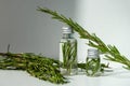 A bottle with essential oil and rosemary on a white background. A bottle of essential oil with fresh rosemary sprigs. Royalty Free Stock Photo