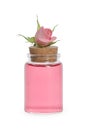 Bottle of essential rose oil and flower on white background Royalty Free Stock Photo