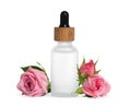 Bottle of essential rose oil and flowers against white background Royalty Free Stock Photo
