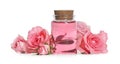 Bottle of essential rose oil and flowers on white background Royalty Free Stock Photo