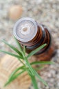 Bottle of essential rosemary oil. Bottle dropper tip insert close up.