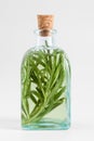 Bottle of essential rosemary oil or infusion closeup