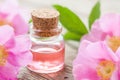 Bottle of essential roses oil and pink wild rose