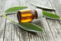 Bottle of essential sage oil. Royalty Free Stock Photo