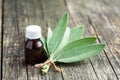 Bottle of essential sage oil. Royalty Free Stock Photo