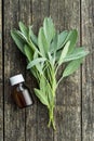 Bottle of essential sage oil. Royalty Free Stock Photo