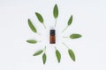 Bottle of essential sage oil and sage leave. Sage on wh Royalty Free Stock Photo