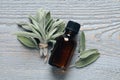 Bottle of essential sage oil, twigs, leaves on light grey wooden table, flat lay Royalty Free Stock Photo