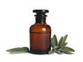 Bottle of essential sage oil, twigs and leaves on white background Royalty Free Stock Photo