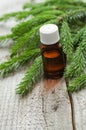 Bottle of essential spruce (fir) oil Royalty Free Stock Photo